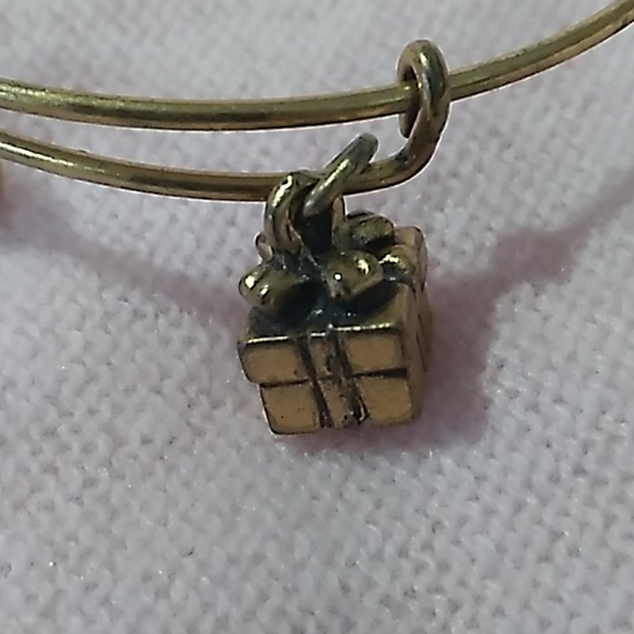 Alex and Ani Present Charm bracelet - Picture 2 of 6